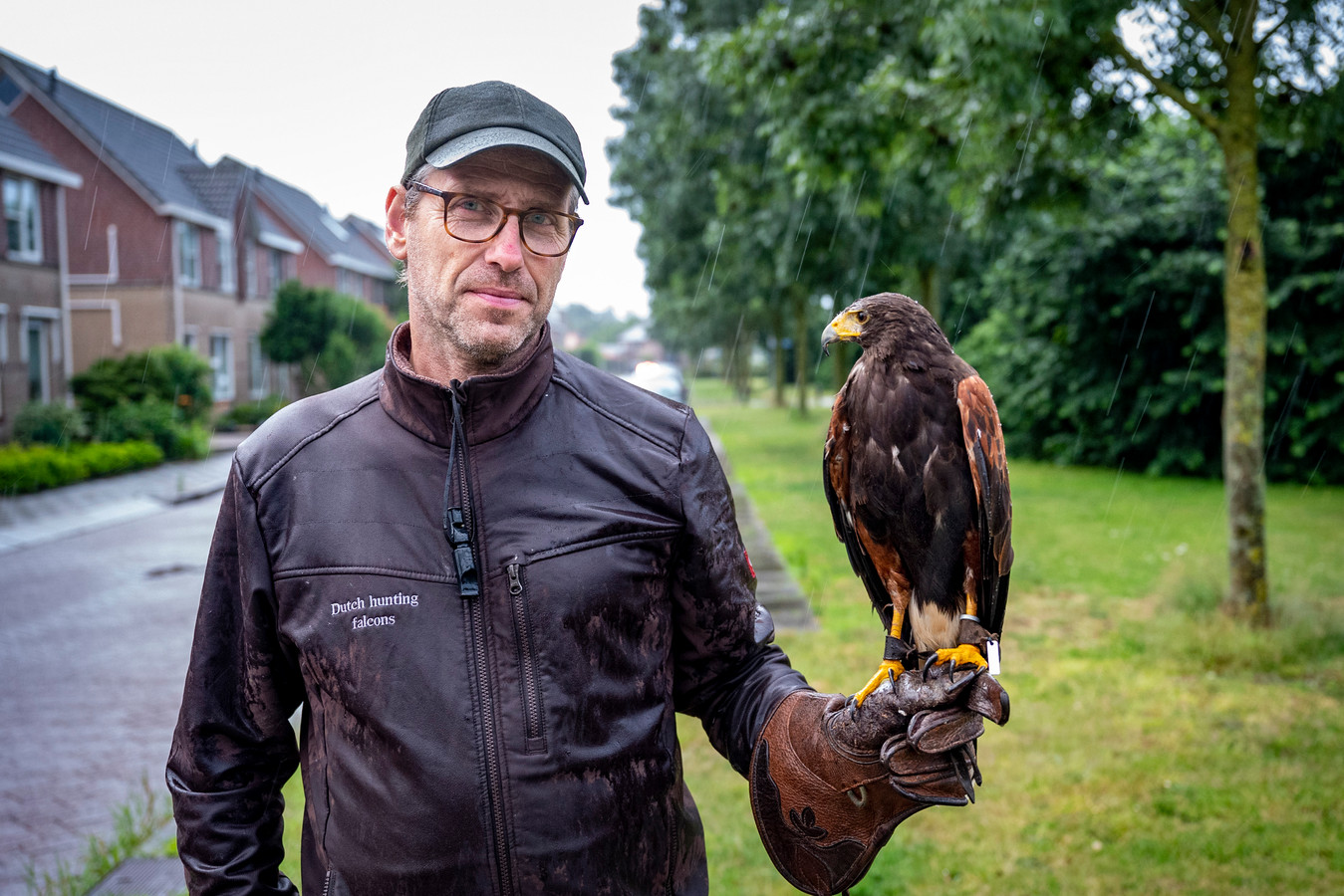 Kauwen verjagen met roofvogel buizerd loedertje